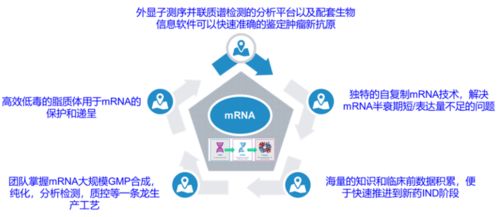 創(chuàng)新競(jìng)爭(zhēng)2.0 國內(nèi)頭部藥企如何借力計(jì)算機(jī)網(wǎng)絡(luò)科技重塑研發(fā)格局
